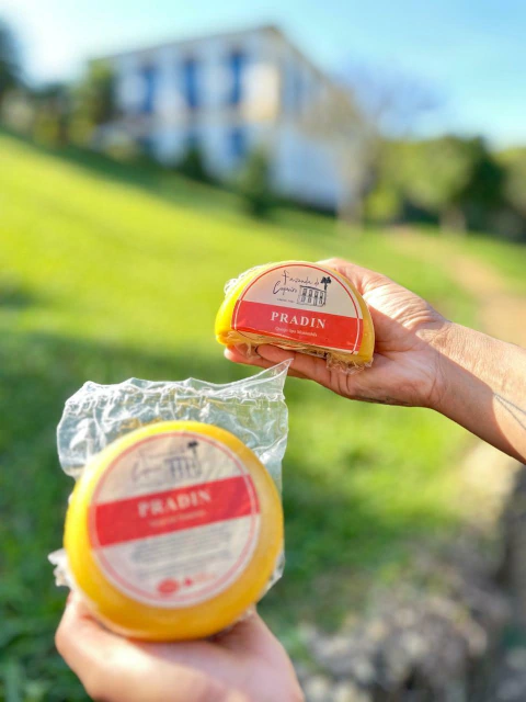Queijo Minas Artesanal Pradin